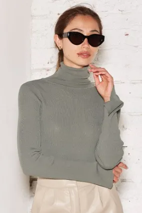 Alina Form Fitting Turtleneck Top