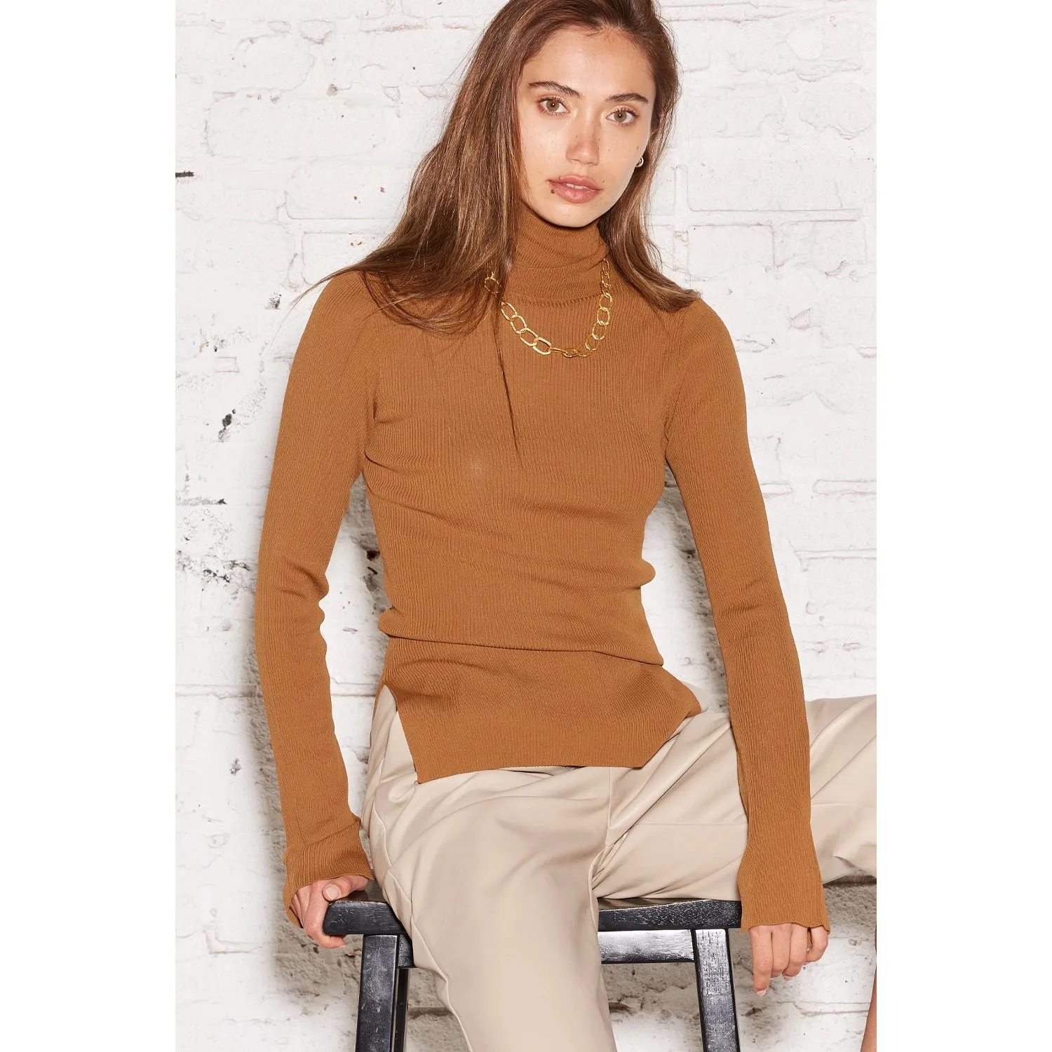 Alina Form Fitting Turtleneck Top
