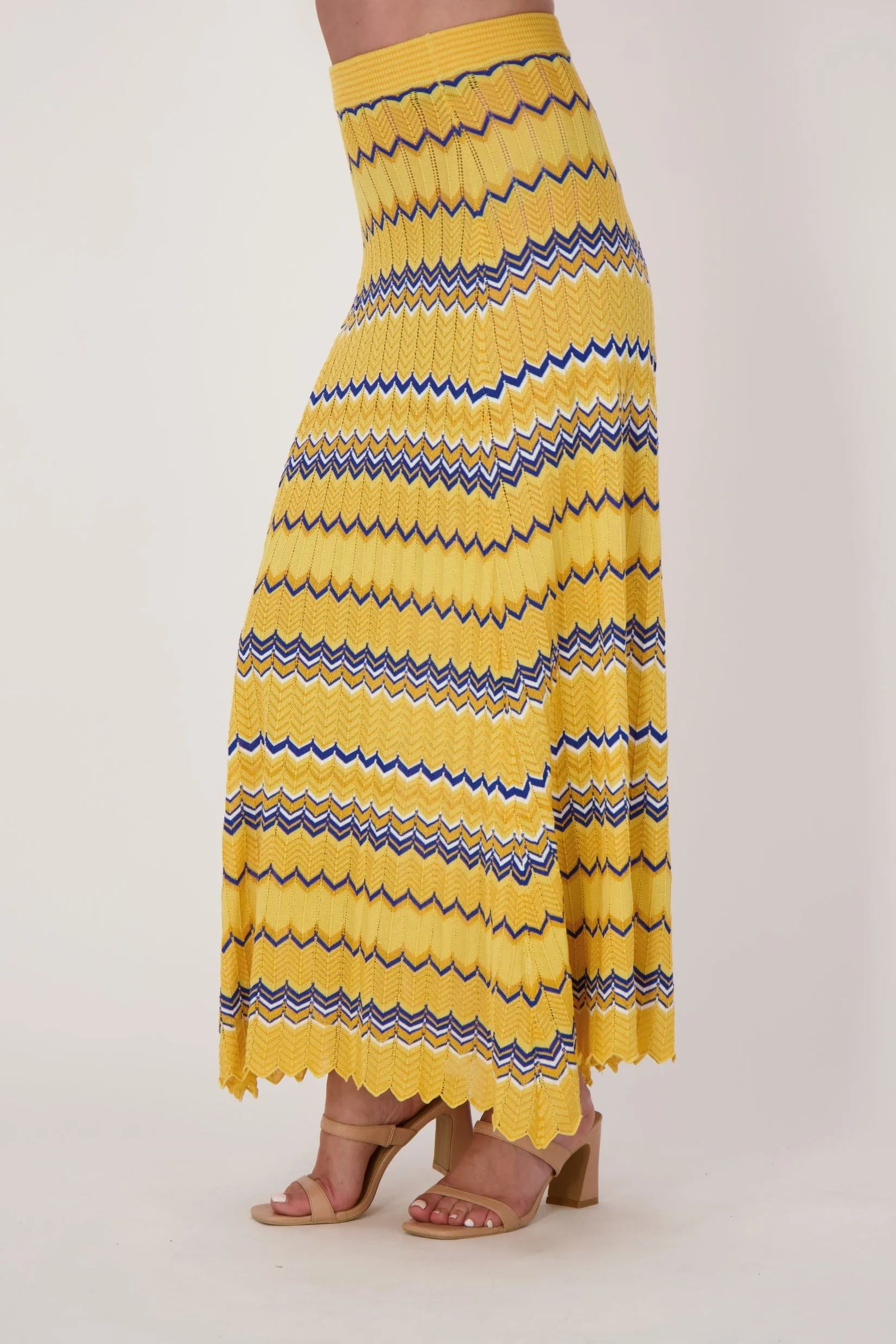 Honey Chevron Multi-Coloured Yarn Maxi Skirt