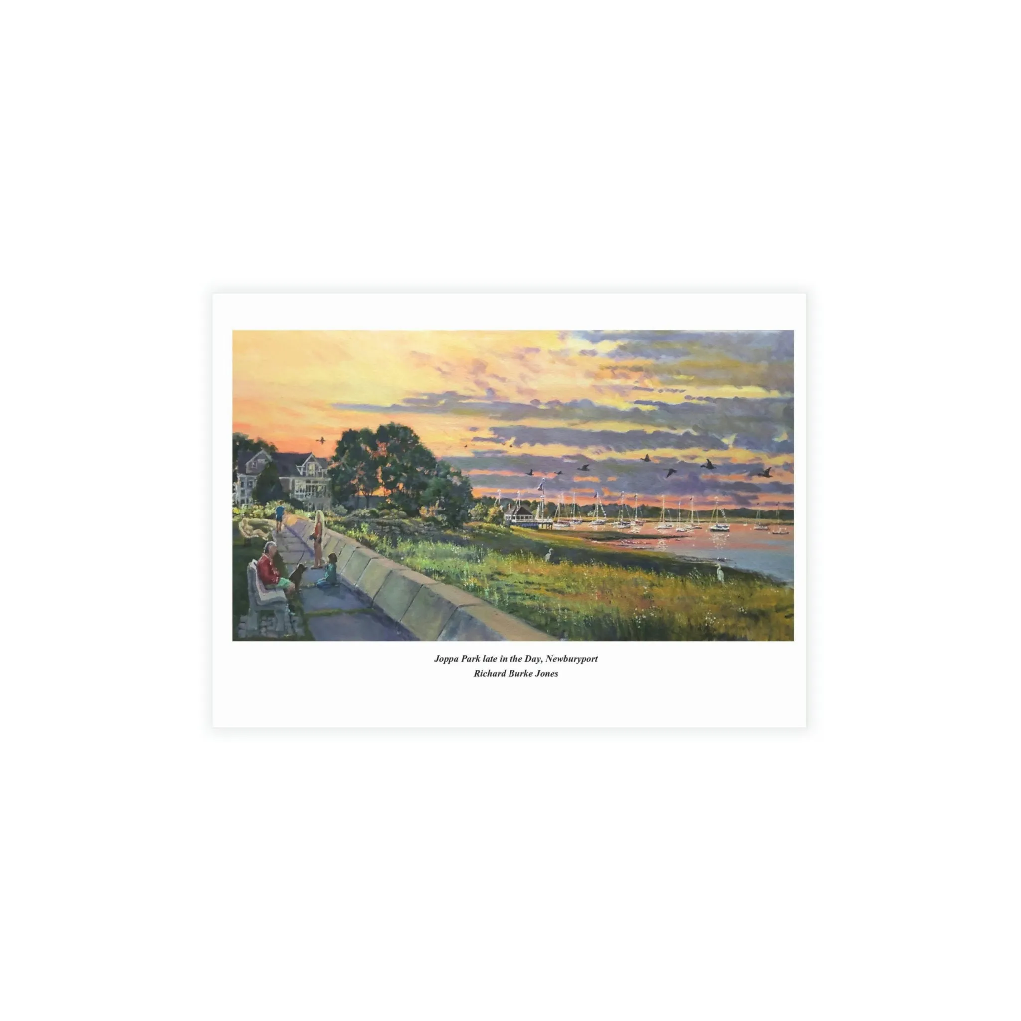 Joppa Park Greeting Card Bundles (envelopes included)