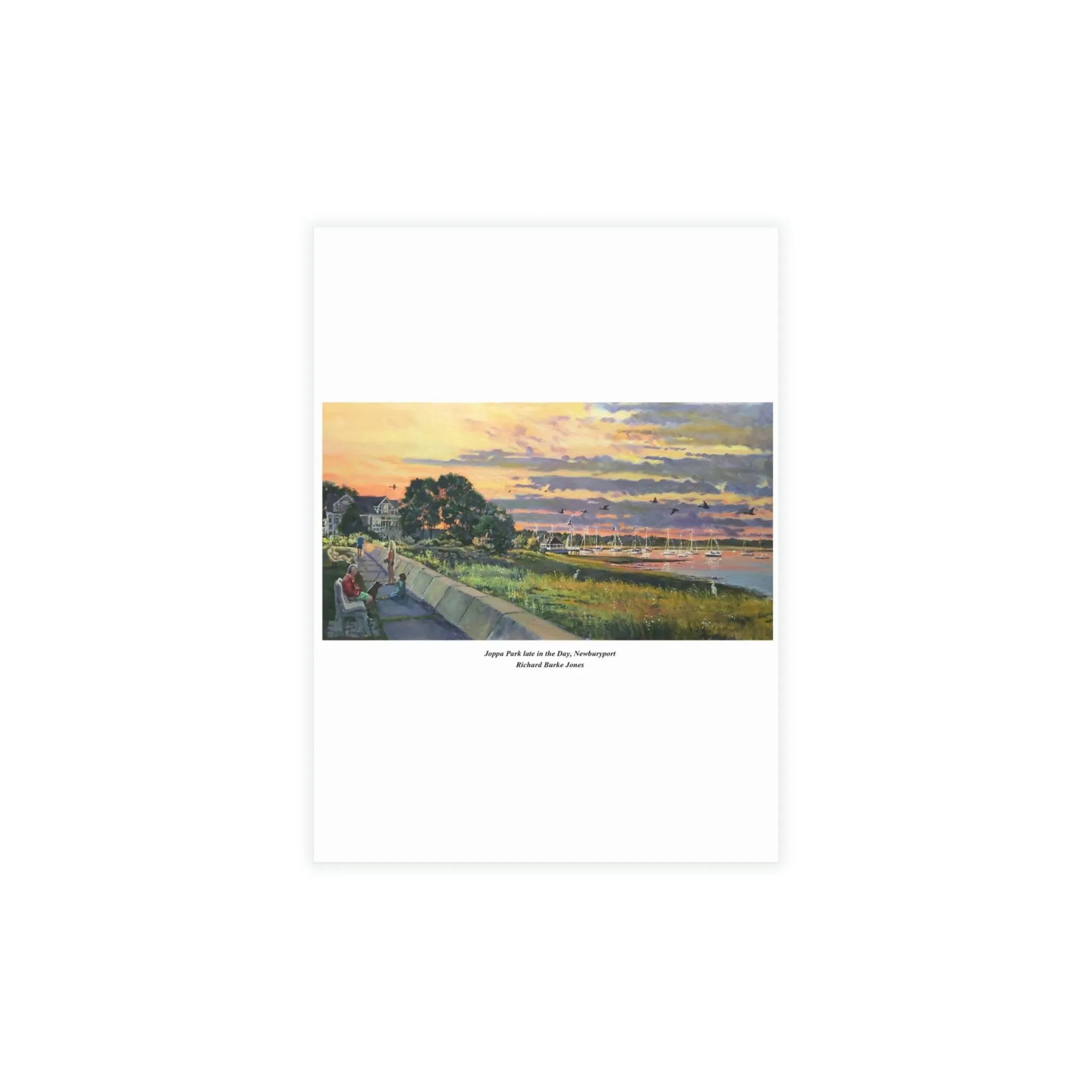 Joppa Park Greeting Card Bundles (envelopes included)