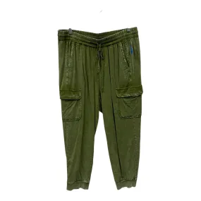 Pants Other By Torrid In Green, Size:14