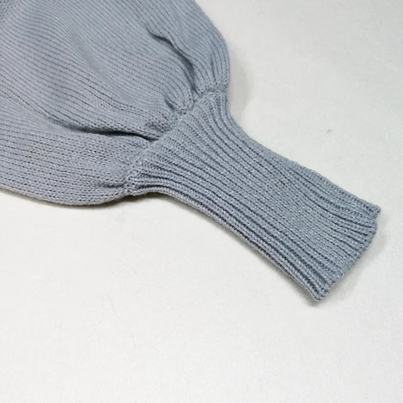 Turtleneck Long Lantern Sleeves Loose Long Women Oversized Pullover Sweater